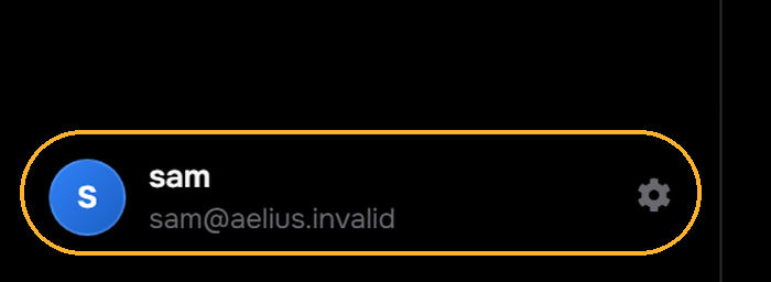 The bottom of the Aelius sidebar, with the account button circled
