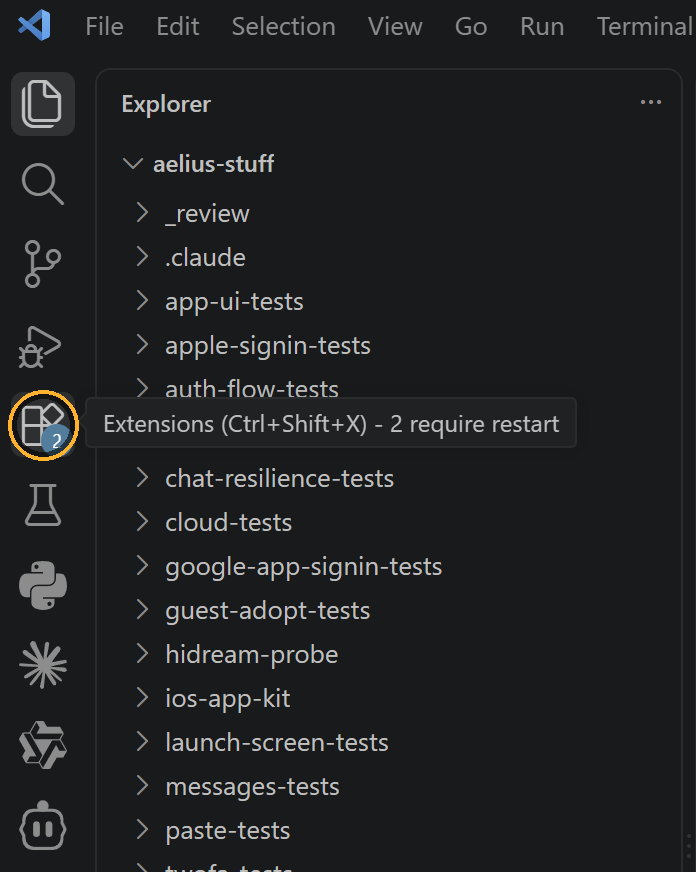 The VS Code activity bar with the Extensions icon circled